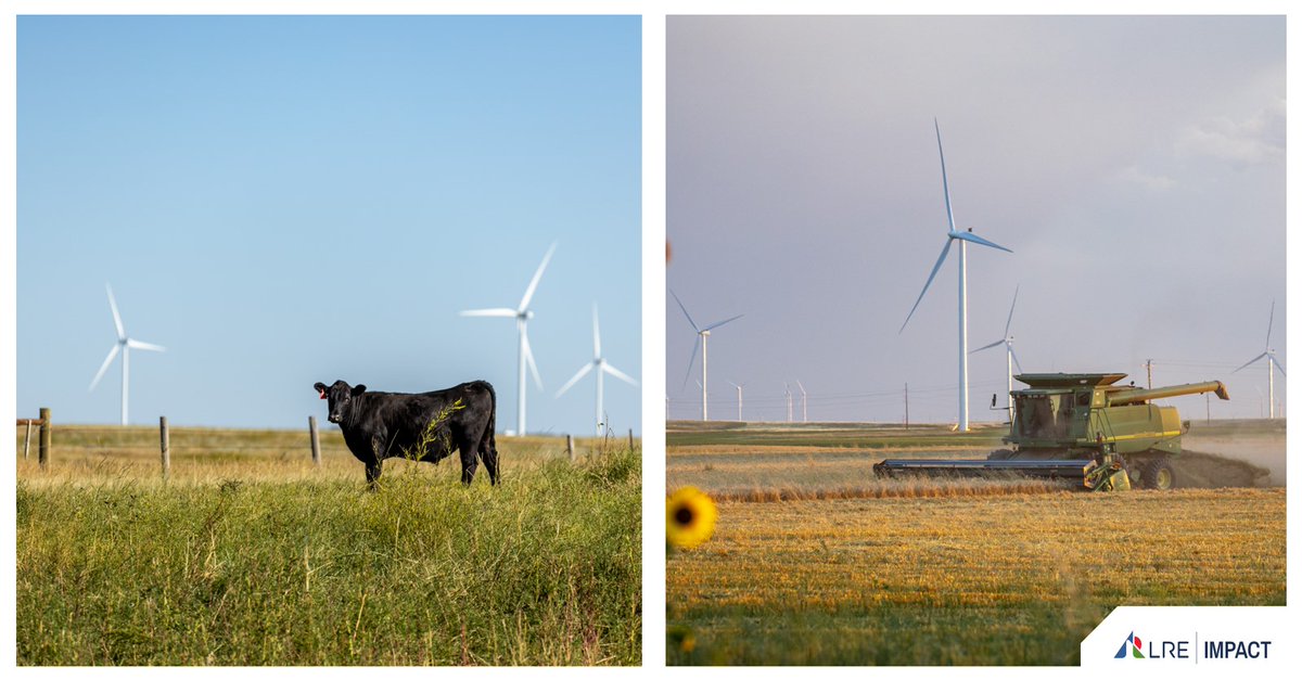 Cattle, crops, and #clean energy are comfortably co-existing on LRE’s Panorama Wind project. Located across 16,000 acres in Weld County, CO, Panorama is a prime example of agriculture and clean energy co-existing. #LREImpact