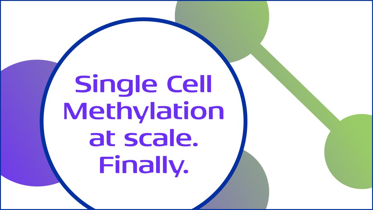 scalebio's tweet photo. Introducing our new Single Cell Methylation Kit. Now you can capture crucial insights with high quality data and change the way you look at single cells.

Learn more now: https://t.co/Akdn44bJ5v

#singlecell #methylation #scalebio https://t.co/vppjD8ZqKH