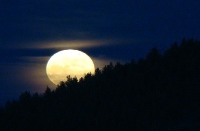 Is the moon made of cheese? No, but our cheese is. When you sign up for our Sept. 29th Full Moon Hike, you'll have wine &amp; cheese with your hike along breathtaking night views of Tahoe. This is a Member's Only event, but it's very easy to become a TRTA Member! Sign up today!