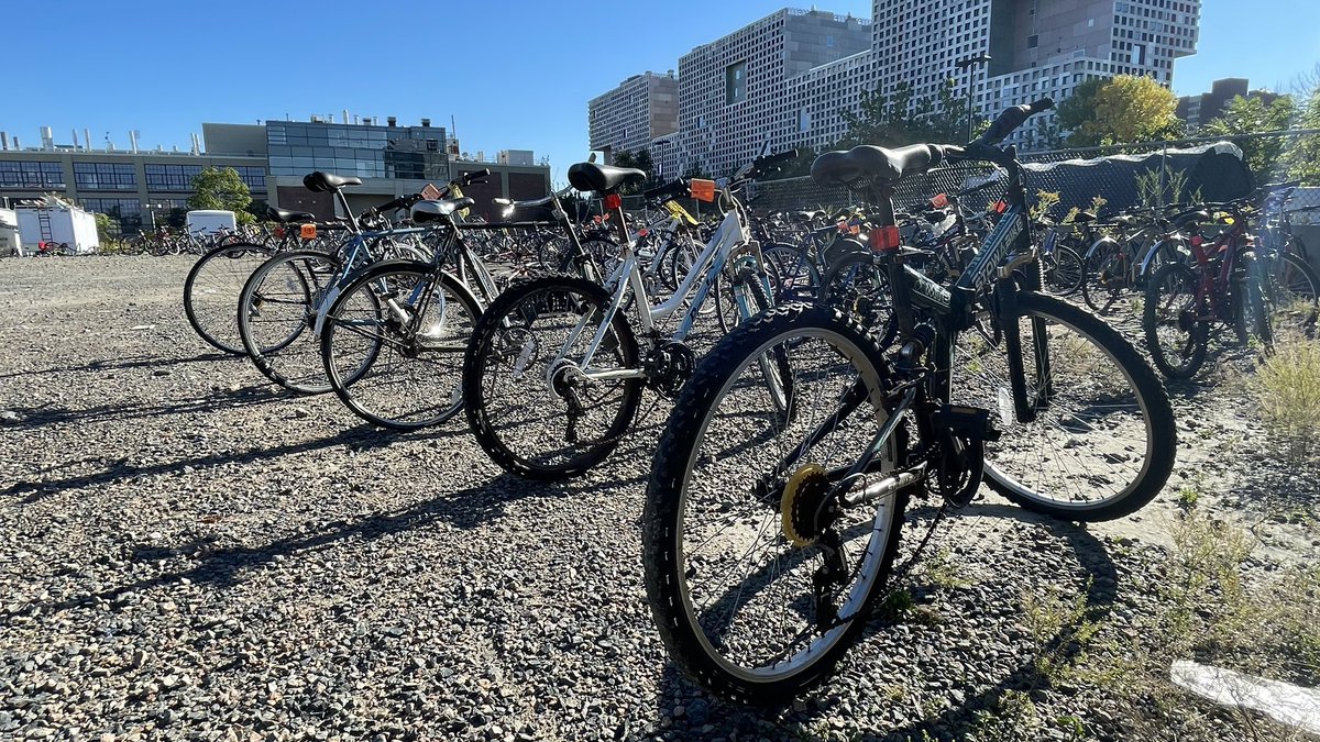 Need a bike? 🚲 Head to the Bike Auction Fri 9/15 @ 290 Albany St, Cambridge. MIT ID required. Lot opens 11:30AM for previews, auction starts at noon. Hosted by <a href="/MITPolice/">MIT Police</a> and the Parking &amp; Transportation Office. bit.ly/2NXaz7Y