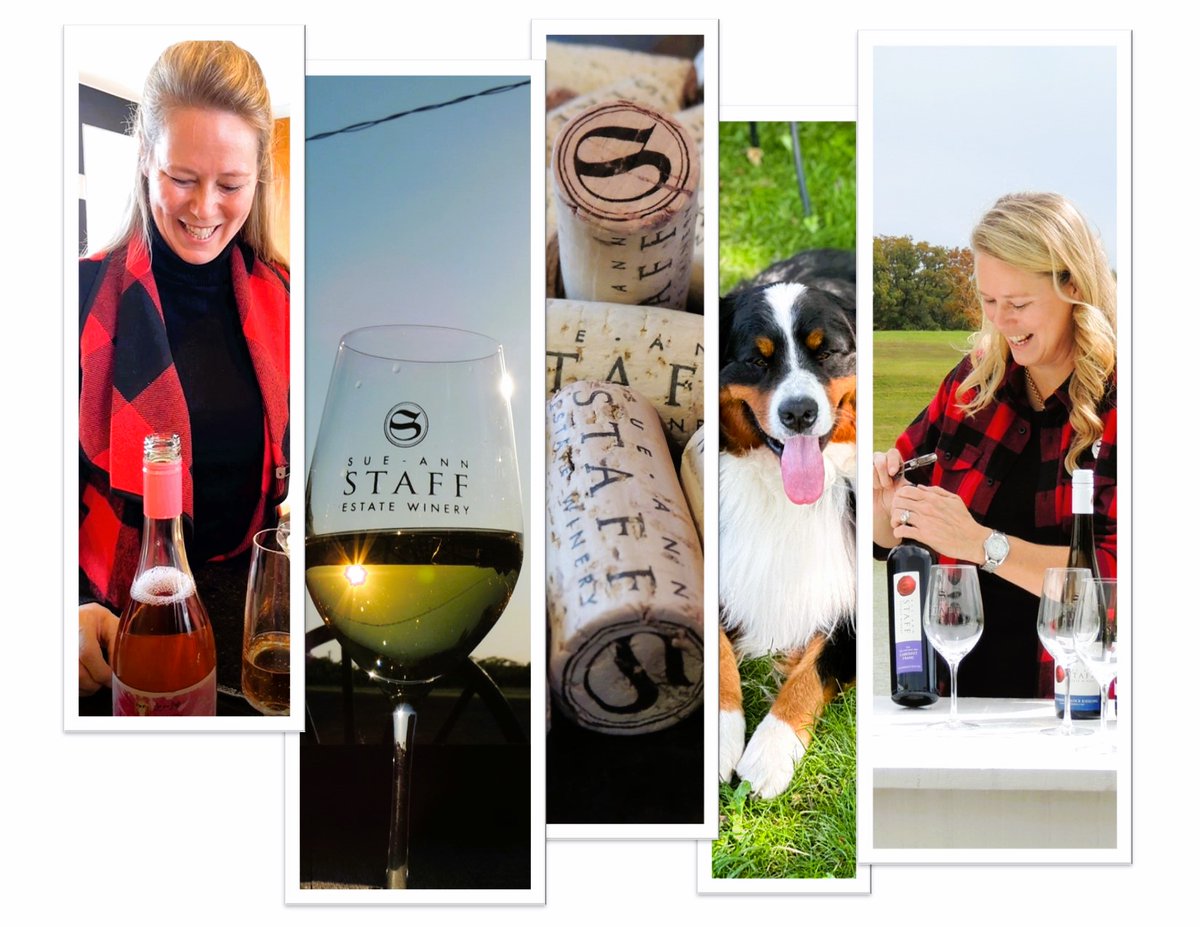SueAnnStaff's tweet image. Did you know we are open for wine tasting and wine by the glass seven days a week? Wine service daily from 11 am to 5 pm! Reservations appreciated, walk-ins welcome! sue-annstaff.com/pages/winery-c… #VQA #winetasting #siplocal #shoplocal #lovelocal #niagarabenchlands