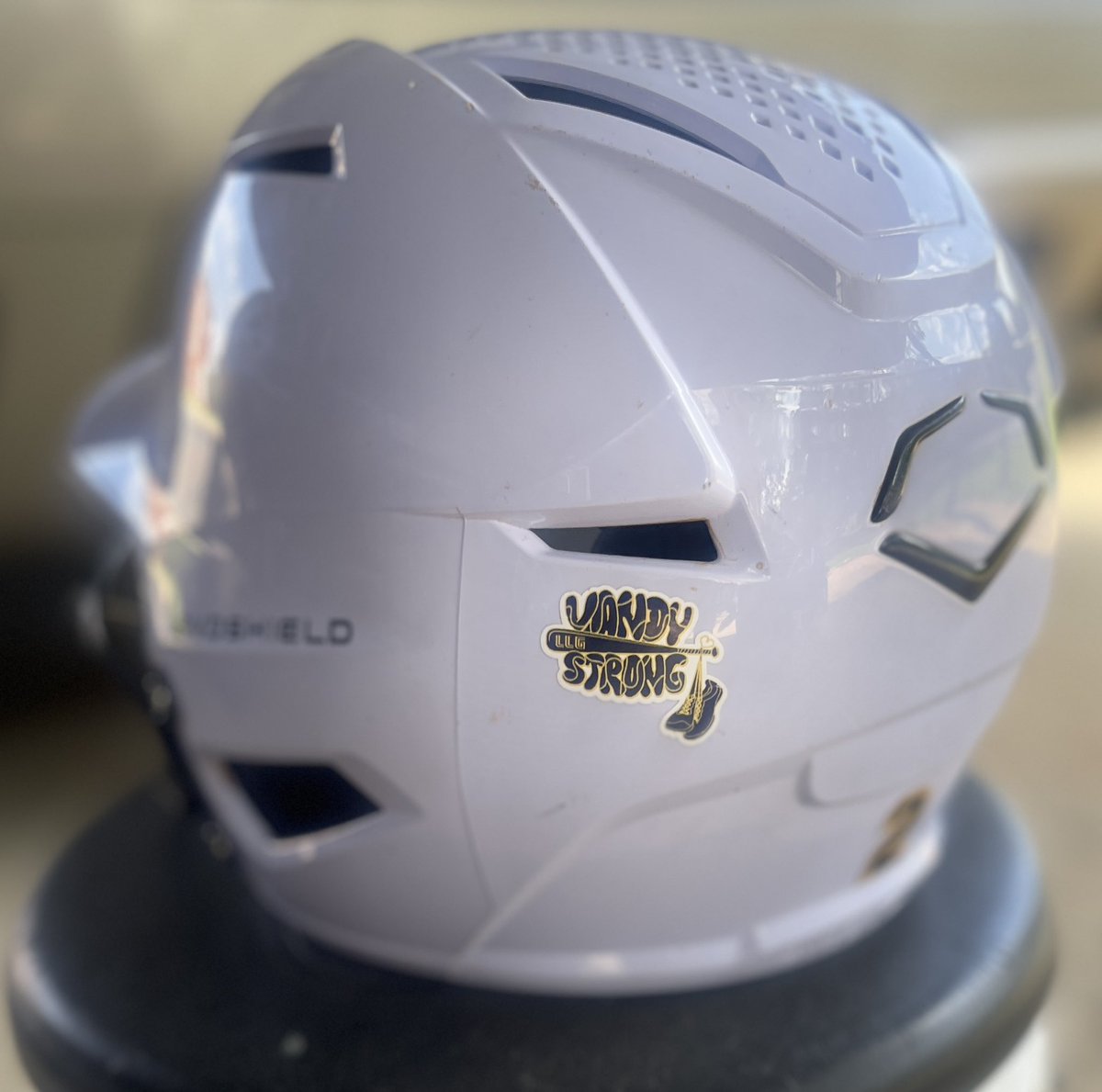 NatsDavis16u's tweet photo. We went to battle last weekend with our softball sister, @LaurenVanderpo1 on our minds, hearts…and helmets! Wishing you all the best! 💪🏼💪🏽💪🏾💪🏿 #VandyStrong #ileap #getstruck⚡️ https://t.co/n7BmoOgN7x