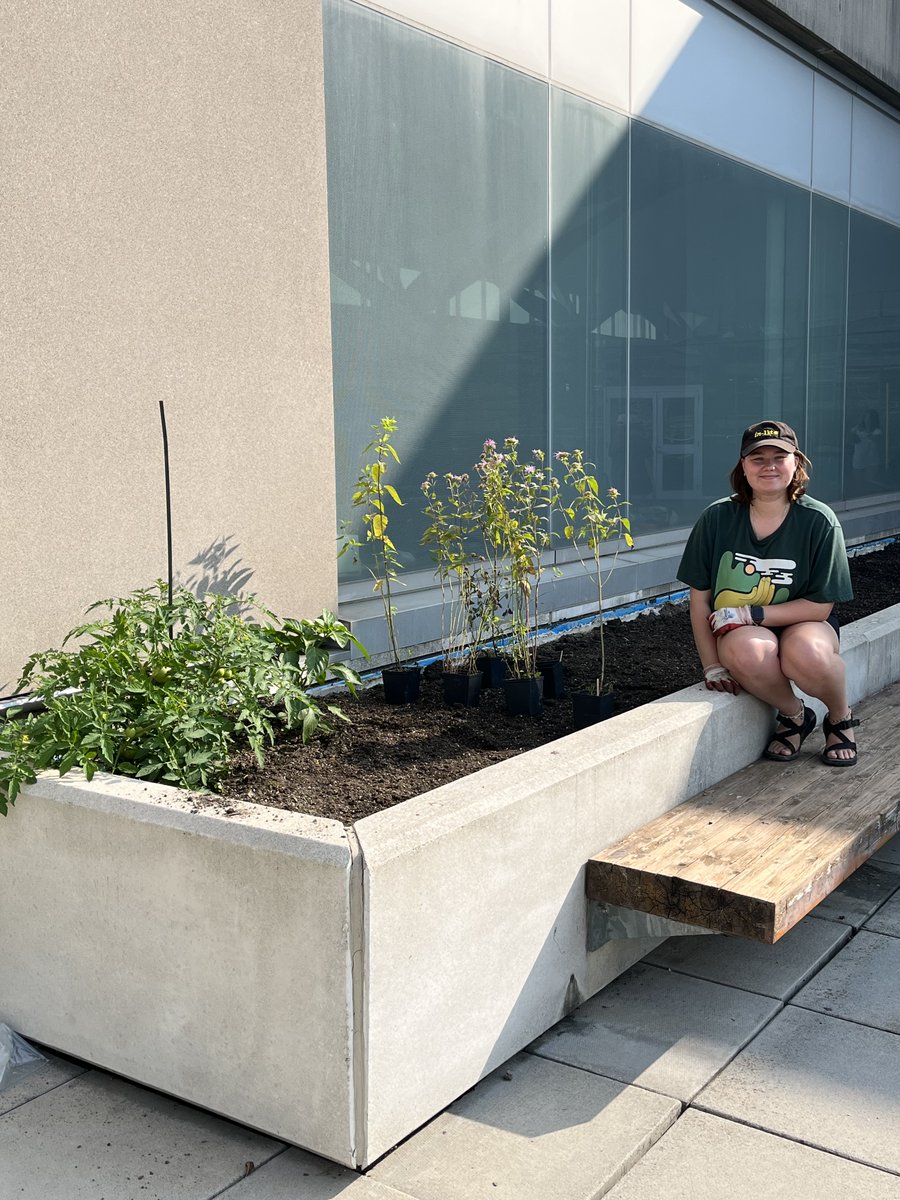 EESWindsor's tweet photo. The Jull Environment Club has completed the new Native Plant Garden and Seed Orchard on the roof of Centre for Engineering Innovation! Visit the webpage (https://t.co/hd2pcdNzmG) for more information on hours, how to contribute and information about the species planted. https://t.co/ncP0uA0OPs