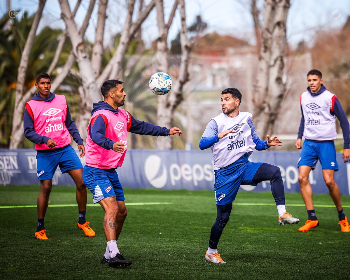 Nacional's tweet photo. 📍 Martes activo en la Ciudad Deportiva Los Céspedes 🔋✅

#ElClubGigante 🔵⚪🔴 https://t.co/SOABzYdA4h