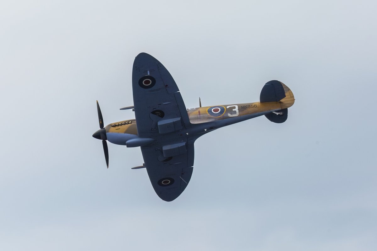 derekbtimages's tweet photo. The International Ayr Show - Festival of Flight 2023. BBMF Supermarine Spitfire MK356
#festivalofflight2023 #ayr #southayrshirecouncil #bbmf #spitfire #warbird #warplane #airshow #aviation #mk356 https://t.co/npEFJNthun