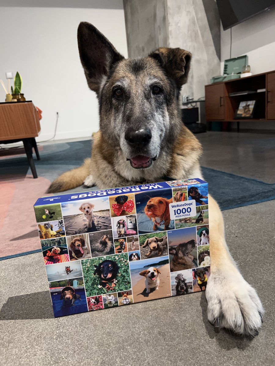 WeRateDogs tweet media