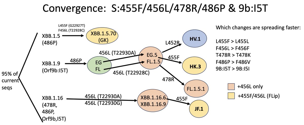 Marc Johnson tweet media