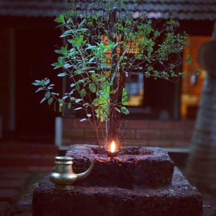 MahakaviDinkar's tweet photo. परंपरा को अंधी लाठी से मत पीटो
इसमें बहुत कुछ है
जो जीवित है,
जीवन दायक है,
जैसे भी हो
ध्वंस से बचा रखने लायक है। https://t.co/MAMKnqOxOL