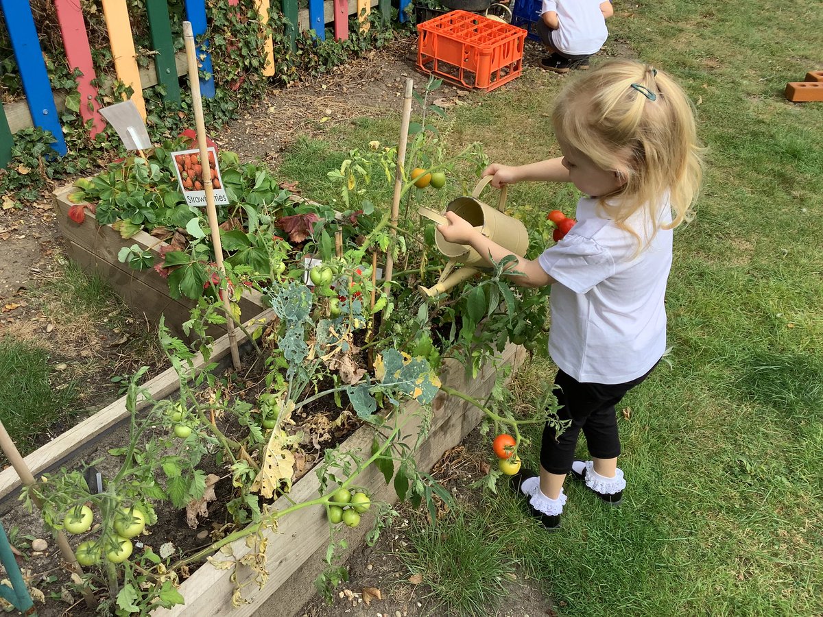 Snaresbrook Primary School tweet media