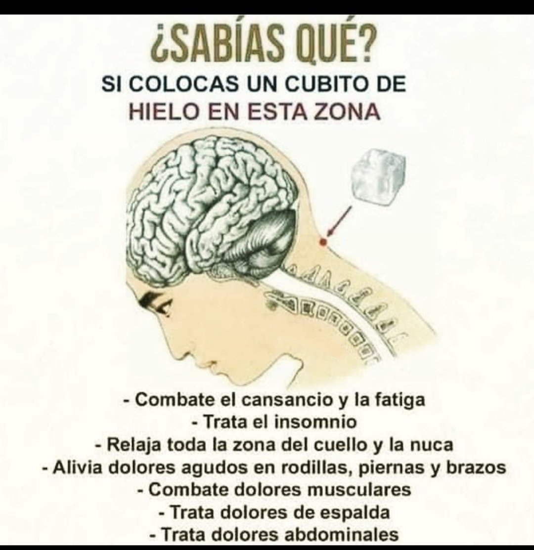 BienestarYM's tweet image. ✨🍉🥥🌱☀️Tip Salud☀️🌱🥥🍉✨

✨🌟¿Sabías qué?🌟✨

✨Cubito de hielo✨

🌟Dime: "Gracias" si te gustó🌟