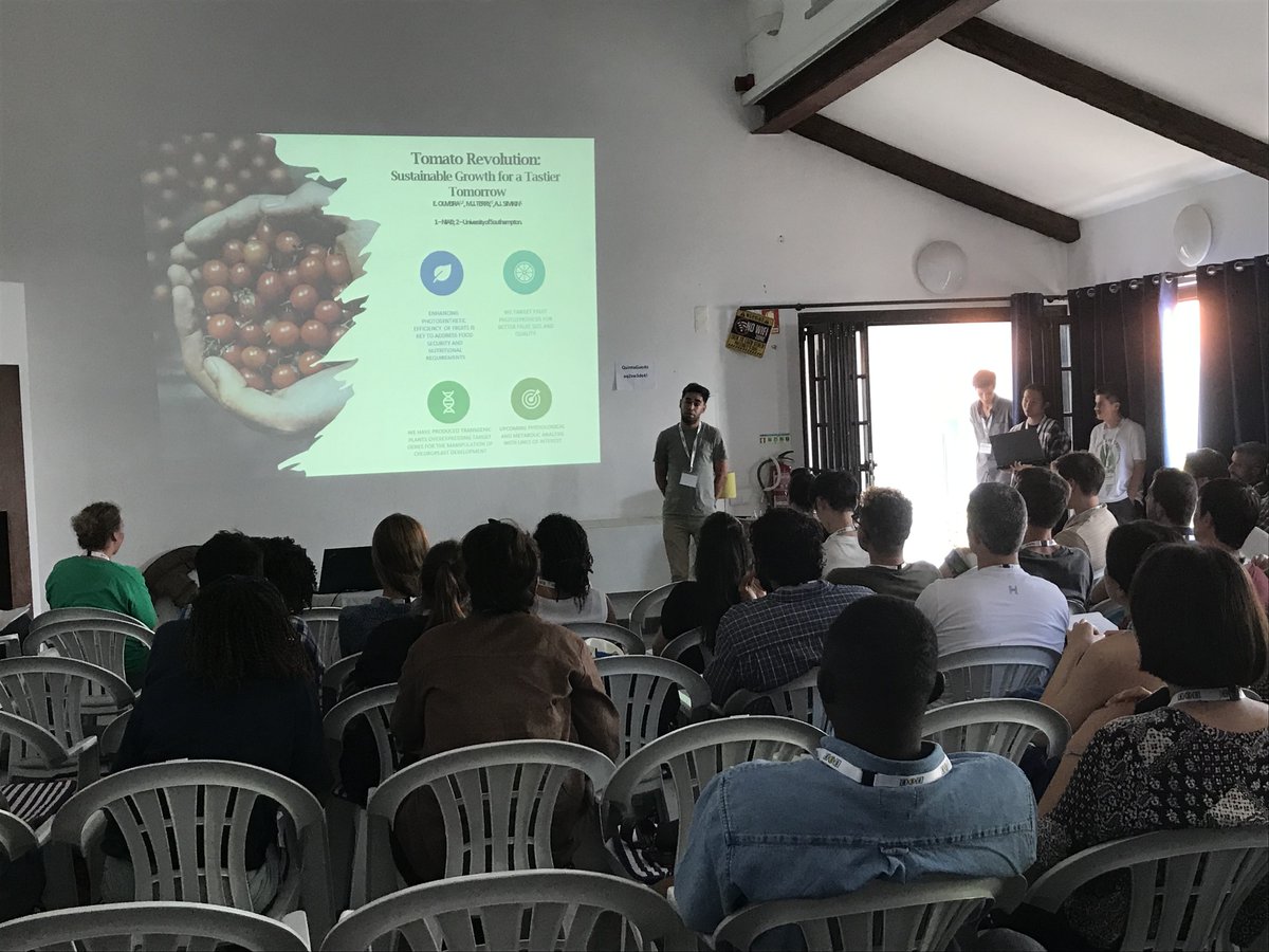 2/7 First talk from @Erickrgoliveira on "Tomato Revolution: Sustainable Growth for a Tastier Tomorrow." Erick is diving deep into modifying photosynthesis efficiency in fruits to boost yield and quality. 🍅🌱 #PlantScience