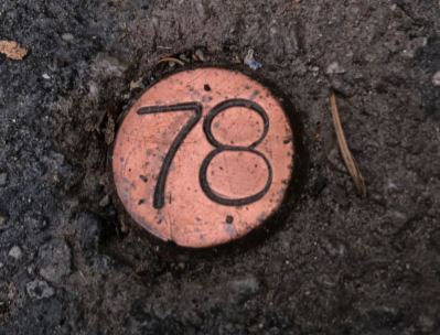 TimpCaveNPS's tweet photo. Look for brass markers along the Timpanogos trail. To tell how far you are from the cave, multiply the stamped number by 100. How far away are you from the entrance if you see number 78?

#FAQs #Timp100 #TrailMarker
📸 H. Hurtt https://t.co/94PhdF9PHX