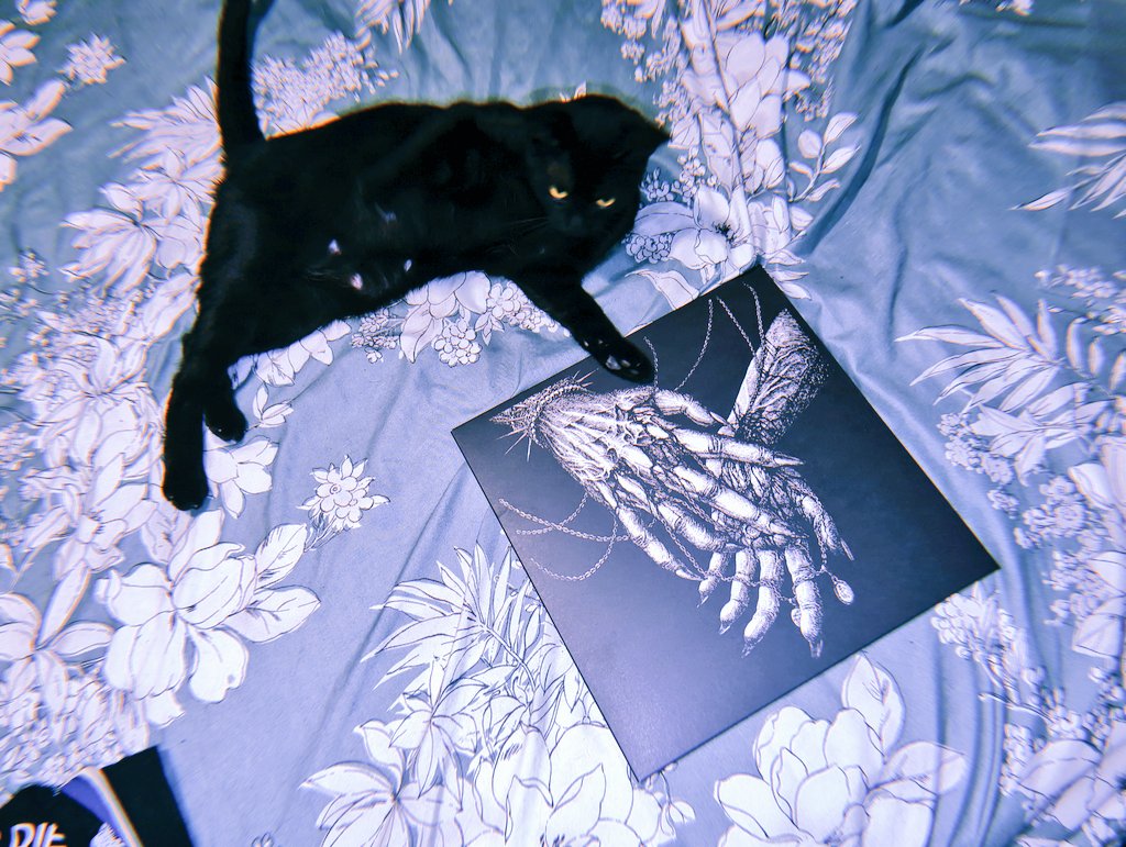 the_cat_nap's tweet image. worth the wait💣

ft. a lil jealous yumi who wanted to feel included lol🖤✨

#fromavein #shadesofrhythm