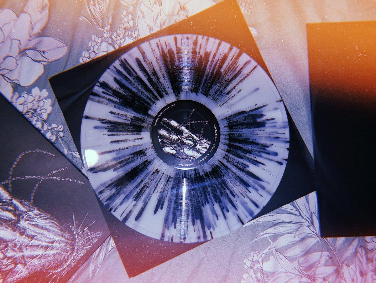 the_cat_nap's tweet image. worth the wait💣

ft. a lil jealous yumi who wanted to feel included lol🖤✨

#fromavein #shadesofrhythm