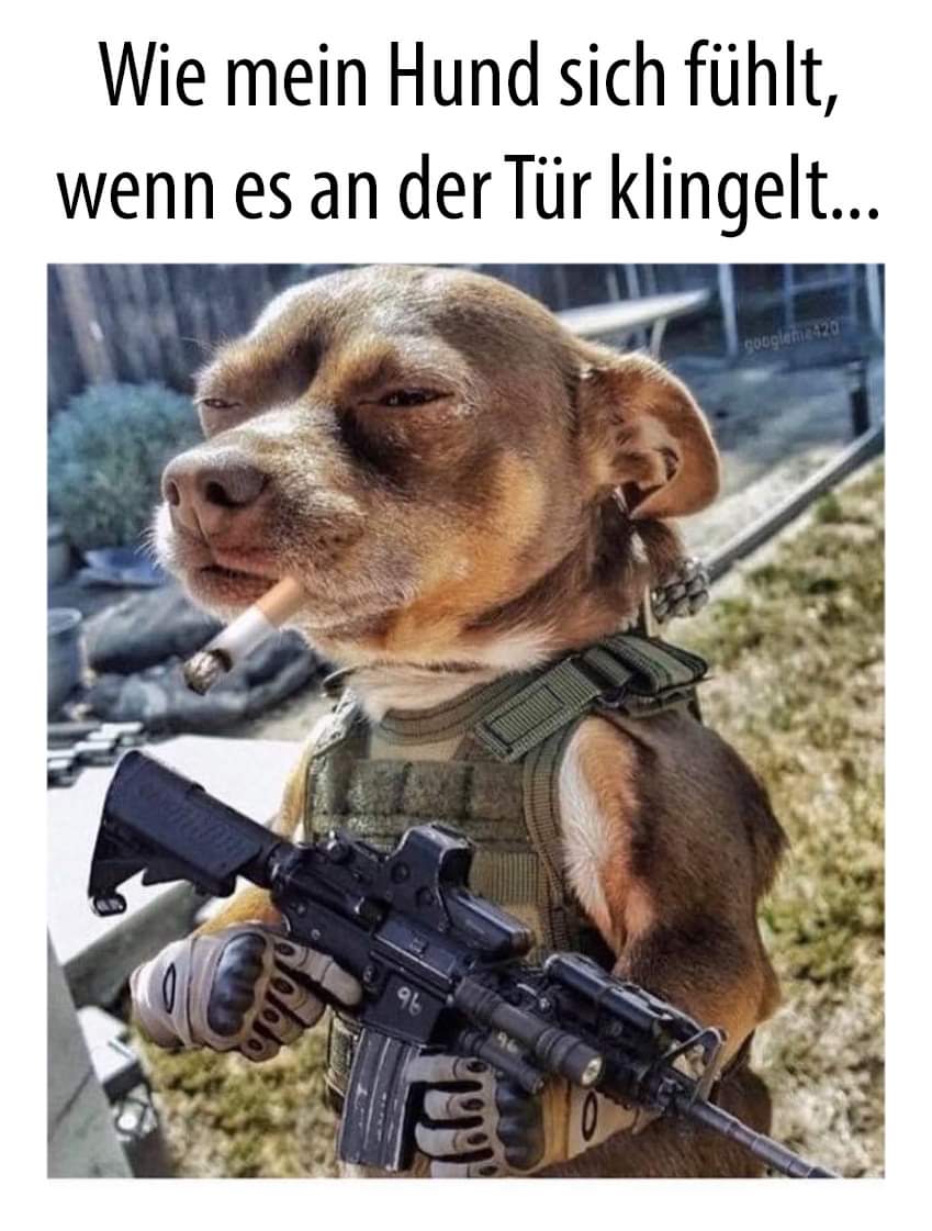 AdamskiHeimo's tweet photo. #FirstDates
#twitterfund
Hab mir gerade überlegt, wie es wohl wäre, wenn Daniela an meiner Tür klingelt. https://t.co/4KJPNRrqzl
