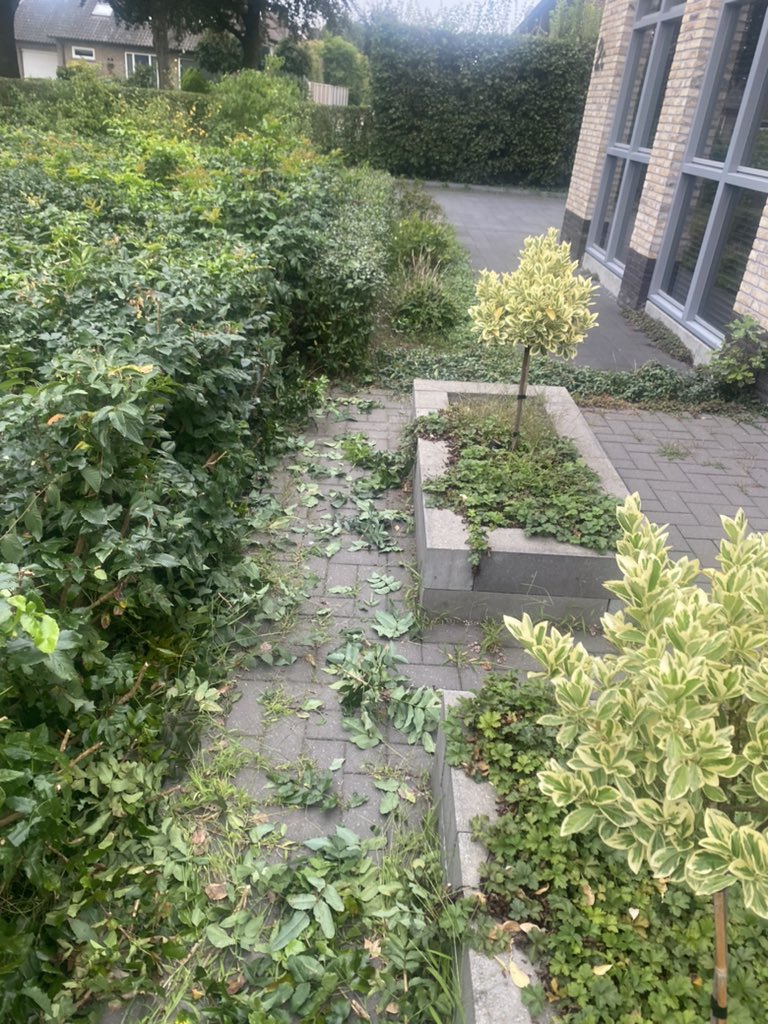 Jppaquaij's tweet photo. @Gemeente_Breda @breda fijn dat jullie de de groenstrook weer een keer hebben bijgewerkt. Het zou nog fijner zijn als jullie dan ook de boel opruimen https://t.co/xQqoOVnANm