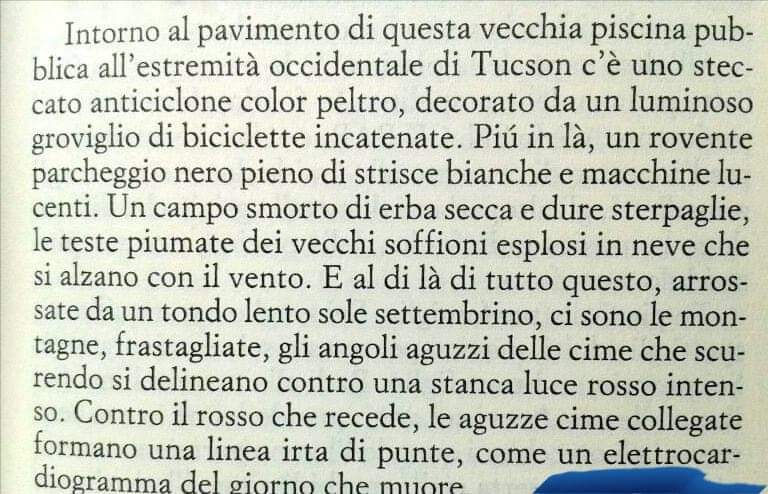 angelo_cennamo's tweet photo. I lettori si dividono in due categorie: quelli che hanno letto David Foster Wallace e quelli che non l'hanno mai letto. Il 12 settembre del 2008 Wallace si tolse la vita impiccandosi. Aveva solo 46 anni. https://t.co/011pn3XIG7