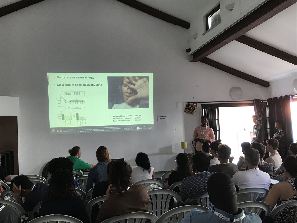 <a href="/ErickRGOliveira/">Erick Oliveira</a> <a href="/z_hongyuan/">Hongyuan_Z</a> <a href="/Ethan0MI/">Ethan Mitchell-Innes</a> 6/7 <a href="/Ikechuk08157259/">Iyke Nnaji</a>'s talk on "Improving Photosynthesis in African Soybean" was enlightening. His work on enhancing photosynthesis during light fluctuations and shaded conditions is a game-changer. 🌱☀️