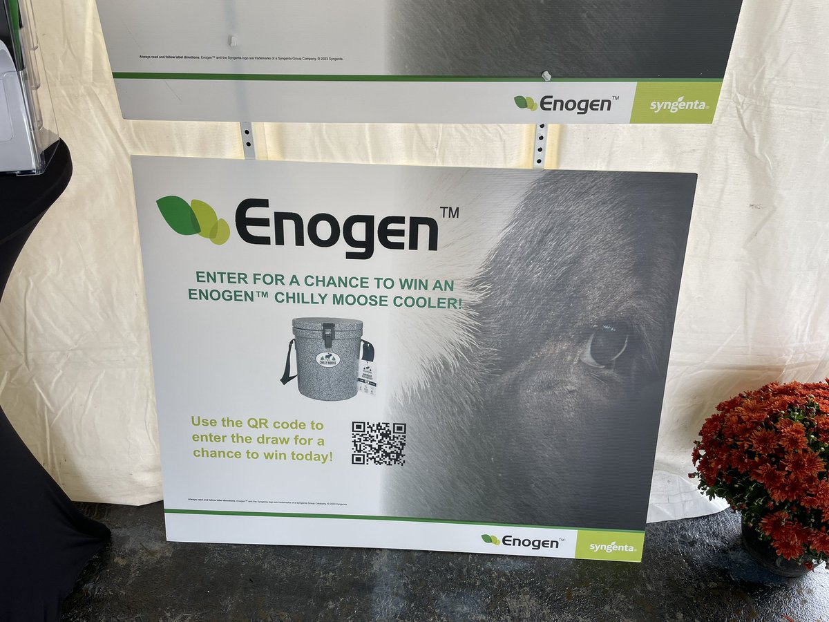 Doug Helm tweet media