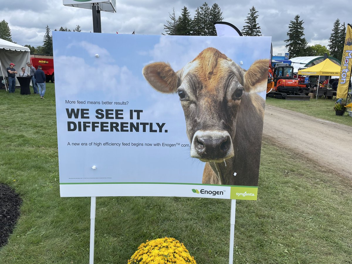 Doug Helm tweet media