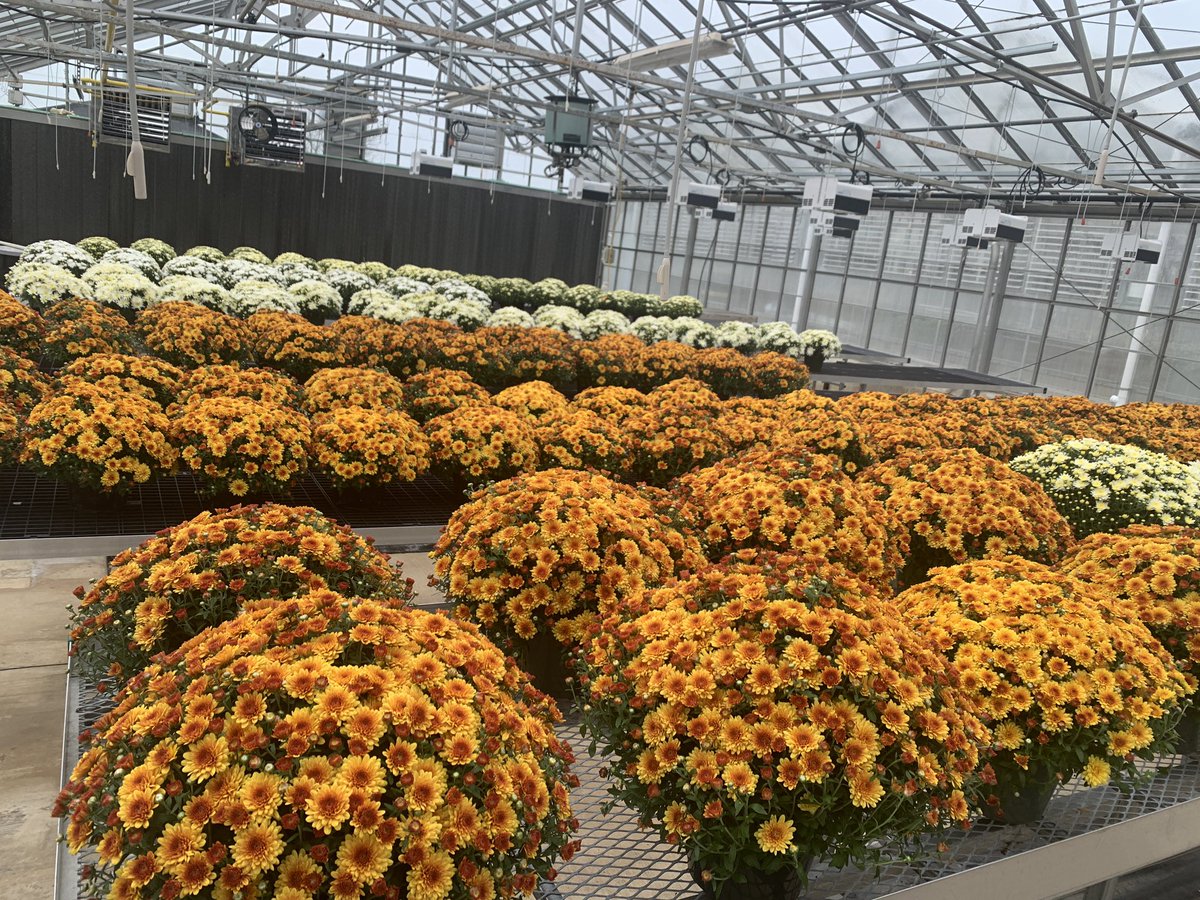 Ohio State ATI Greenhouse Program tweet media