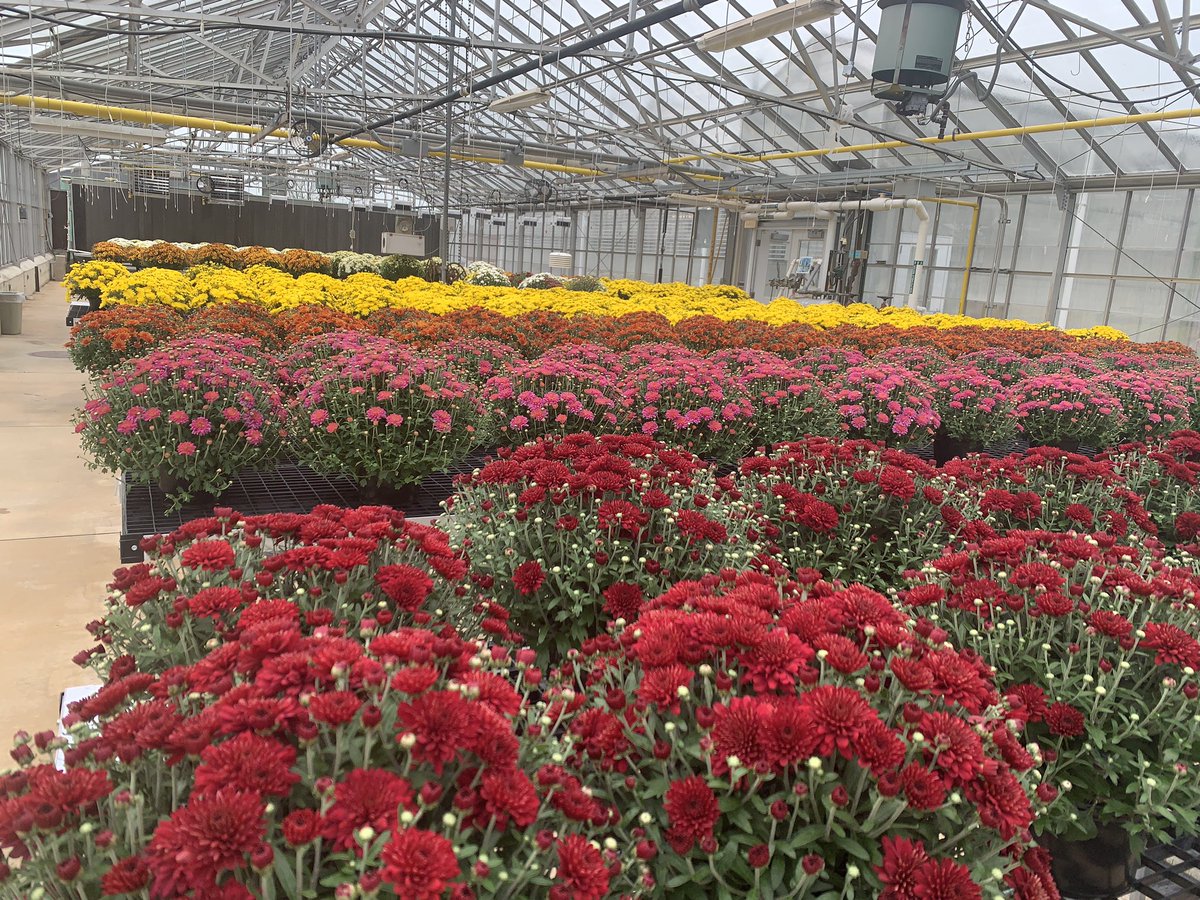 Ohio State ATI Greenhouse Program tweet media