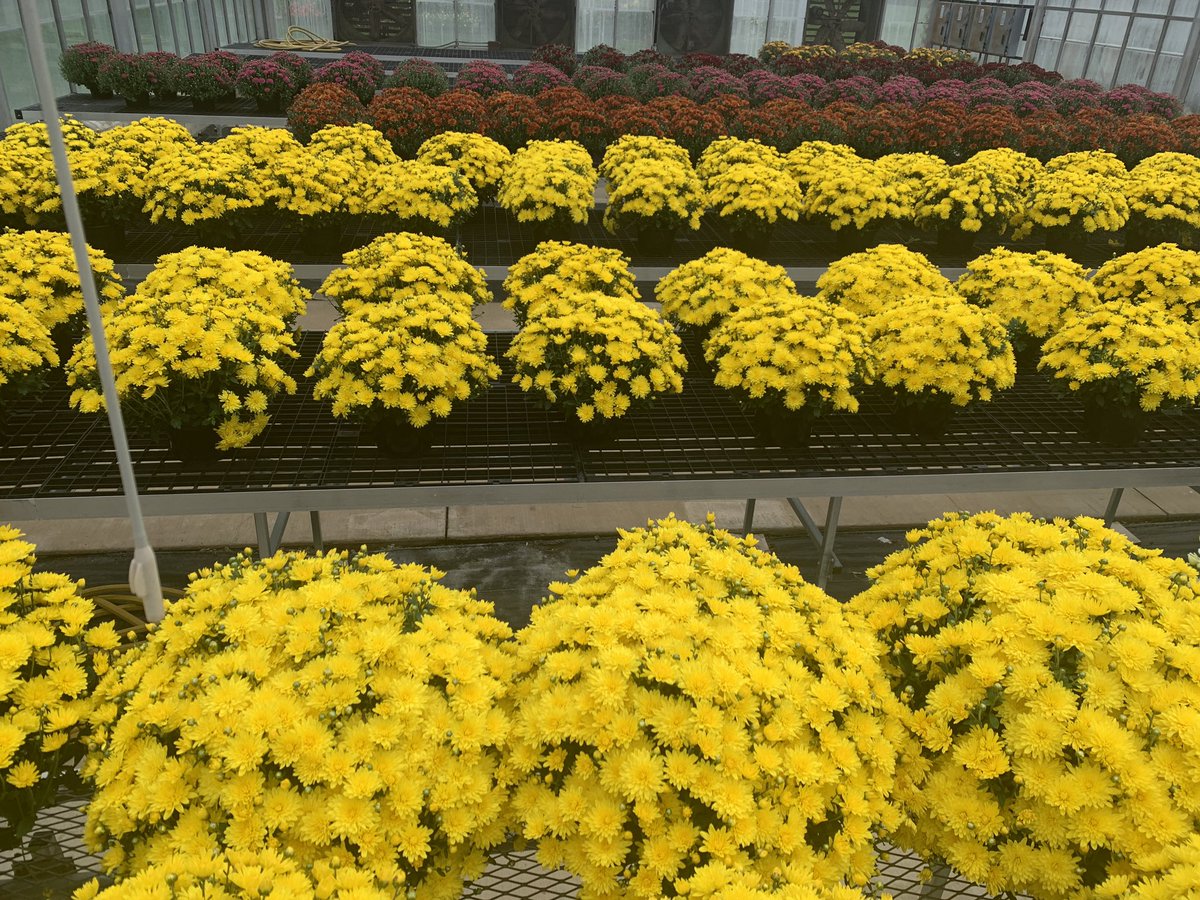 Ohio State ATI Greenhouse Program tweet media
