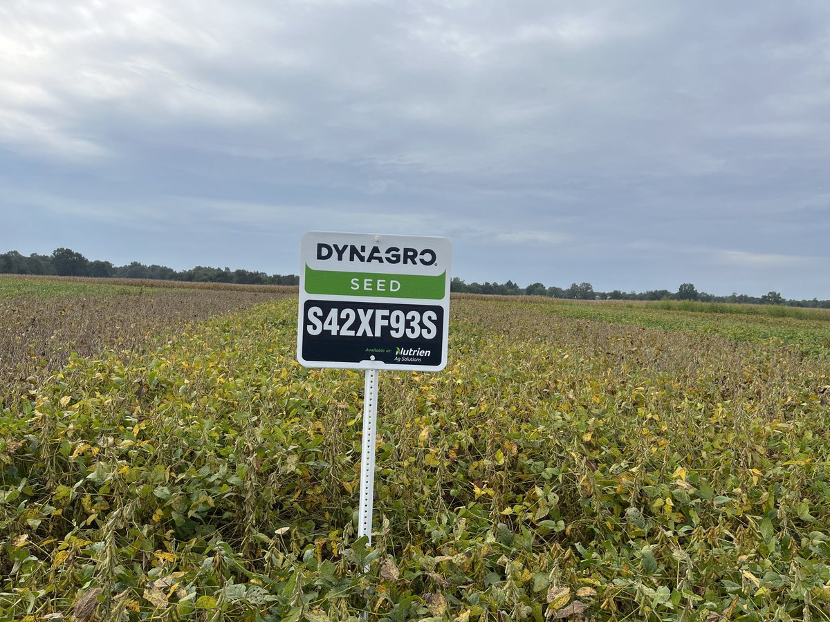 Can’t let a few rain drops stop the plot evaluations in western KY! ⁦<a href="/DynaGroSeed/">Dyna-Gro Seed</a>⁩