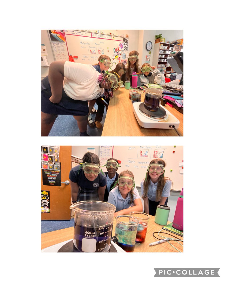 Courtney Cornwright tweet media