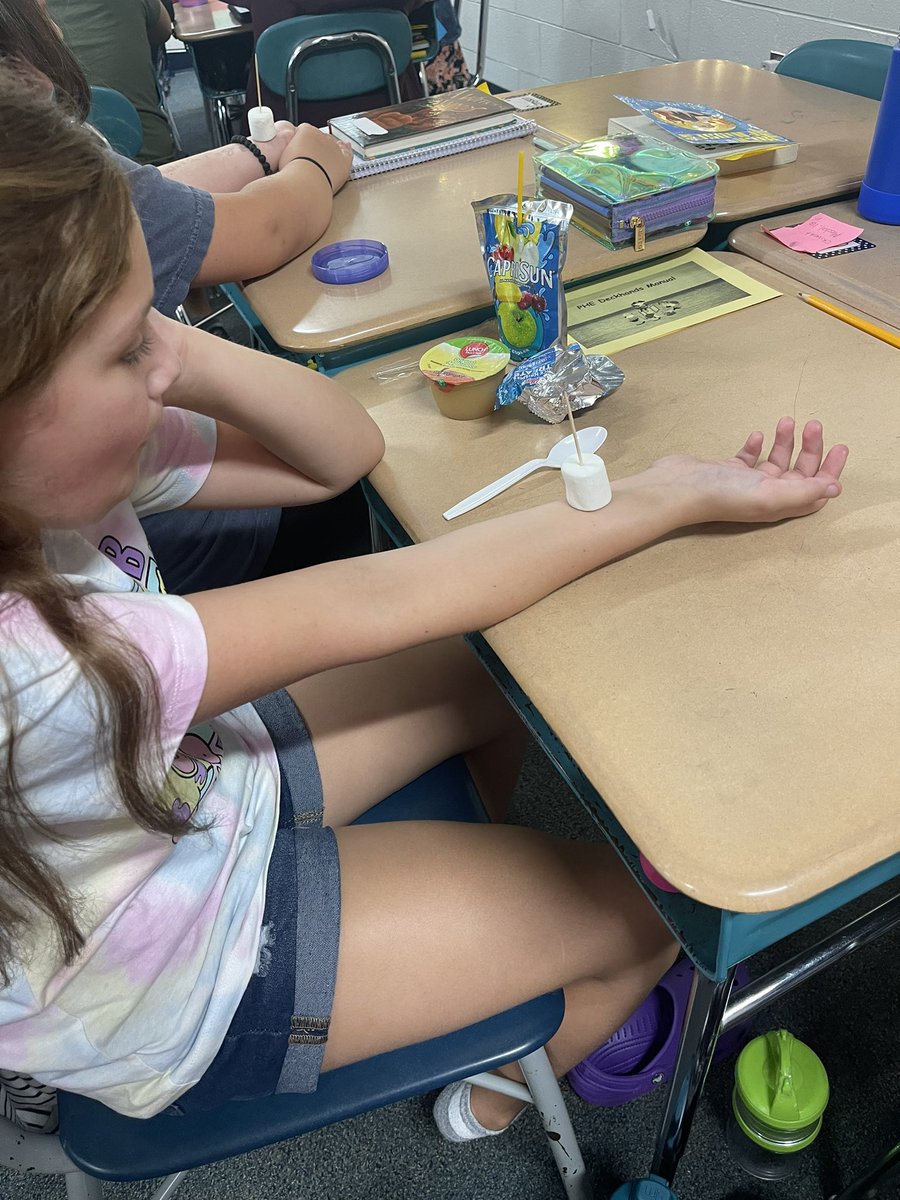 GHamilton1111's tweet photo. Today we “saw” our blood pumping by using a marshmallow and a toothpick. Making abstract concepts concrete is crucial to learning!! Also, it was fun. ☺️
#scienceteacher #perryharrison #learningisfun #onechatham #5thgrade #handsonlearning #STEM #stemlearning #stemeducation https://t.co/5ZSQUNwjMr