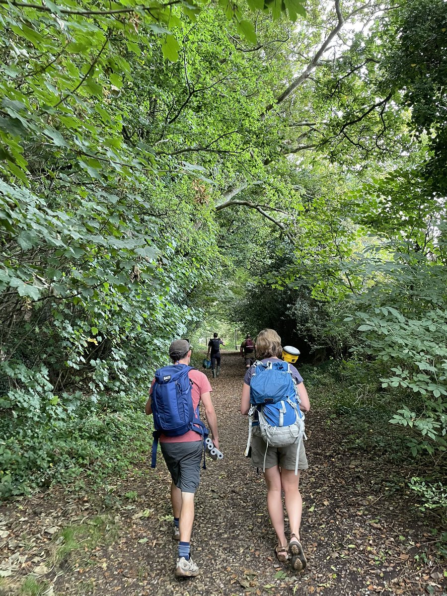 Kate Newby tweet media