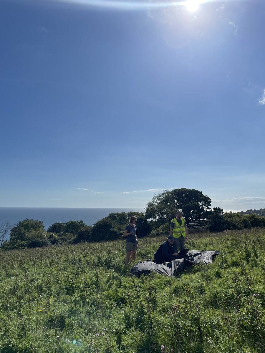 Kate Newby tweet media