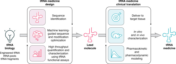 Big week! Our review in <a href="/jbiolchem/">Journal of Biological Chemistry</a> just published providing a comprehensive look at #tRNA molecules and their therapeutic potential: bit.ly/3Lj4PlC

And we spoke with the <a href="/TheScientistLLC/">The Scientist</a> about being on the cusp of viable #tRNAmedicines: bit.ly/3PyJkQ3!