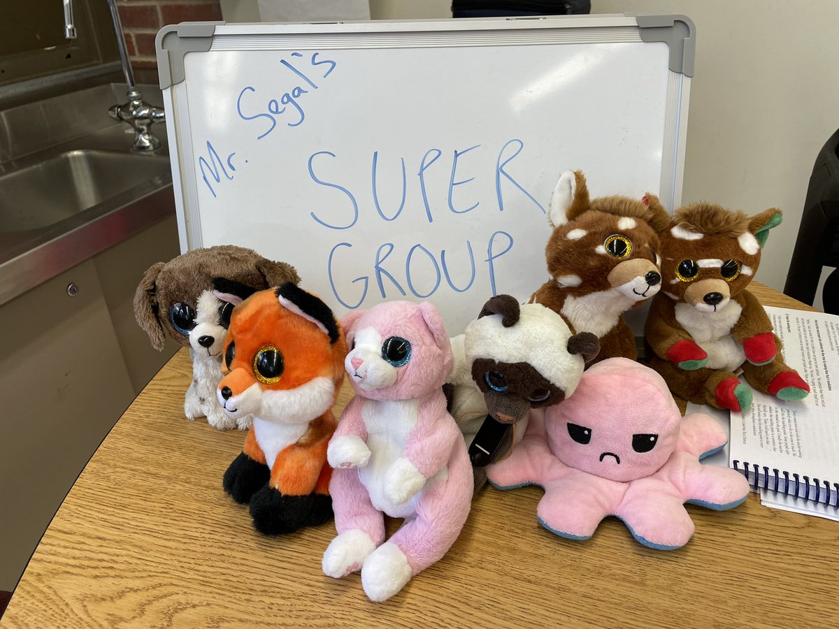 Marc Segal tweet media