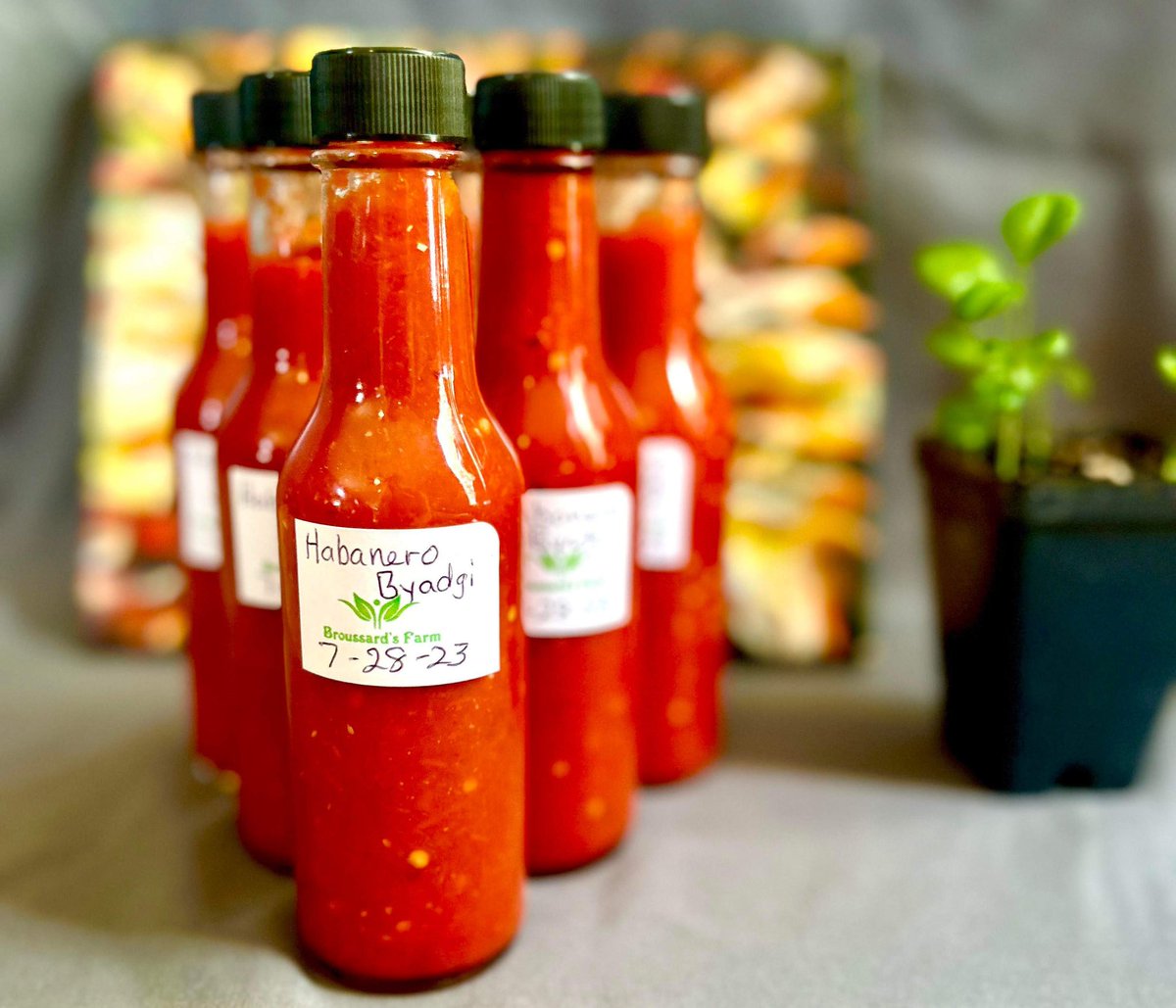 Small Batch Hot Sauce 
Made with Fresh Habanero and Byadgi peppers, 
onion, garlic, vinegar and salt. Cooked (not fermented) (5oz woozy) $15 each or 2 for $25
Shipping will be based on quantity ordered. I accept Paypal, Meta, Cash App, Venmo and Square please PM me for info/order