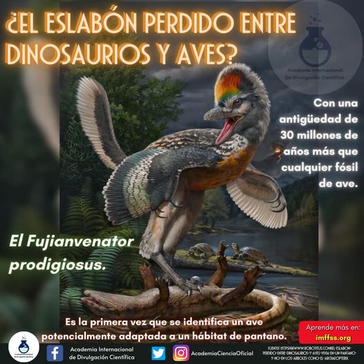 imffss_oficial's tweet photo. El pasado reconstruyéndose poco a poco. ,😯😯😲😲😱😱
🤓✅ Aprende más en  https://t.co/O1a7SN8Ezh 👍🏻🌻
#animales #dinosaurios #Aves #eslabones #paleontología #DoctorPlanta #DoctoraPlanta #DrPlanta #DraPlanta https://t.co/CG2xiWSKOS