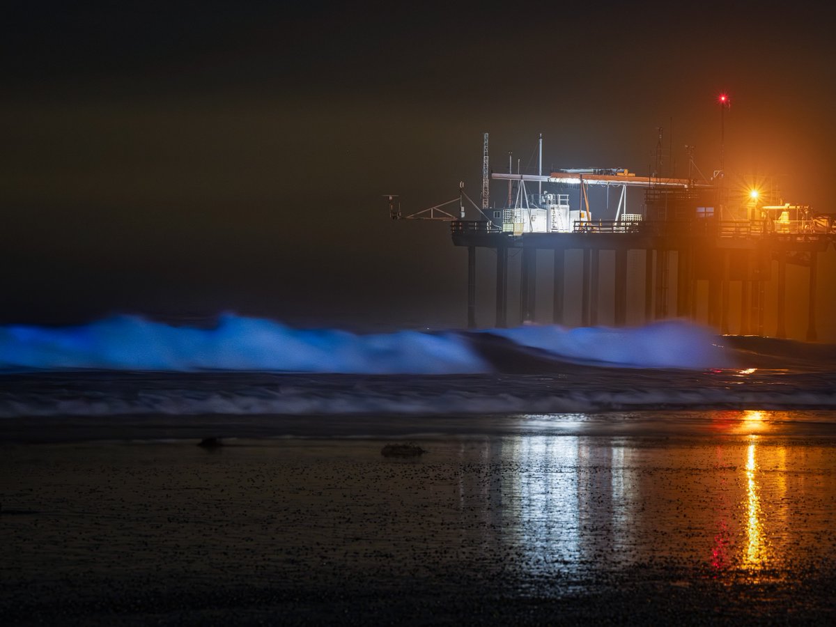 Surfers riding the bioluminescent waves at Scripps Pier last night. 🏄‍♂️🤙🌊

📷: <a href="/erikjepsen/">Erik Jepsen</a> on Instagram    

#UCSD #UCSanDiego #RedTide #Bioluminescence #ScrippsPier