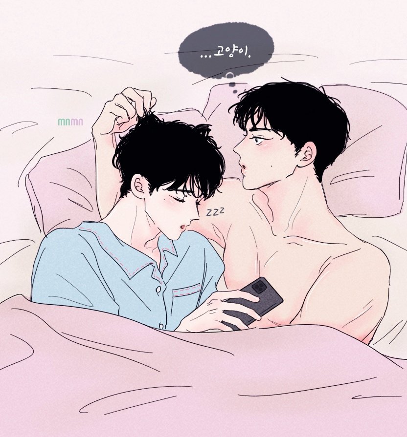 룸메 고양이💚💜