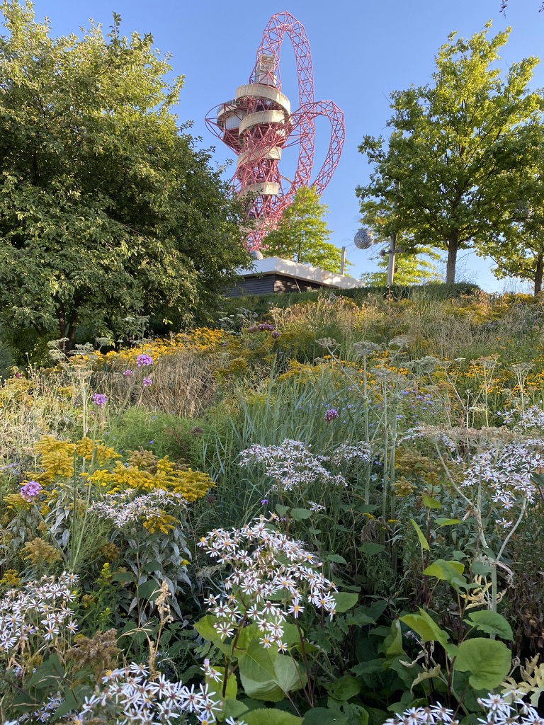 ProfKateJones's tweet image. JOB ALERT! With @UCLEast campus officially opening on Monday, what better time to advertise our @UCLCBER Prof in Ecosystems &amp;amp; Biodiversity Research! Exciting role to support growth &amp;amp; leadership of People and Nature Lab. Deadline 26th Oct 2023 tinyurl.com/2dfrf5pc
