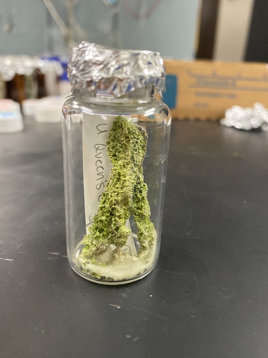 Corbin Hite tweet media