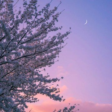 artindetails's tweet photo. pink skies https://t.co/1P2jgoWVtE