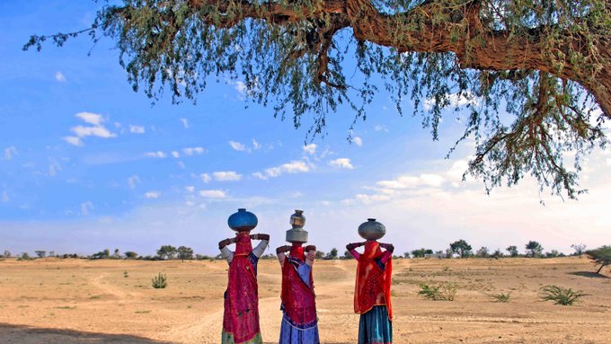 UN Biodiversity (@unbiodiversity) on Twitter photo #Heatwaves have devastating impacts on countries, causing illnesses, crop failures, power outages & water shortages.
They affect mostly vulnerable populations who lack access to cooling infrastructure, green spaces & adequate housing:
wrld.bg/PO7i50PFVWa
Via <a href="/WorldBankWater/">World Bank Water</a> #Heatwaves have devastating impacts on countries, causing illnesses, crop failures, power outages & water shortages.
They affect mostly vulnerable populations who lack access to cooling infrastructure, green spaces & adequate housing:
wrld.bg/PO7i50PFVWa
Via <a href="/WorldBankWater/">World Bank Water</a>