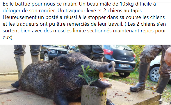 VELEMEBB tweet media