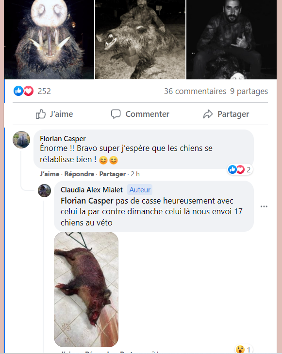 VELEMEBB tweet media
