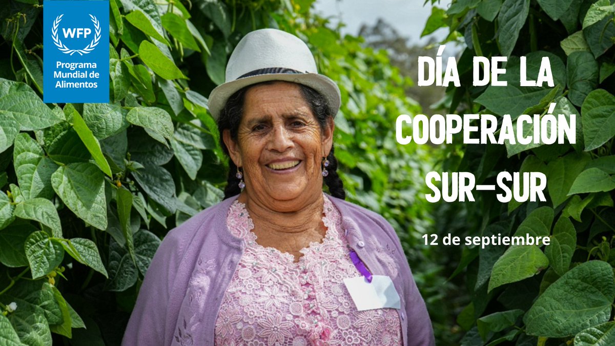WFP Español tweet media