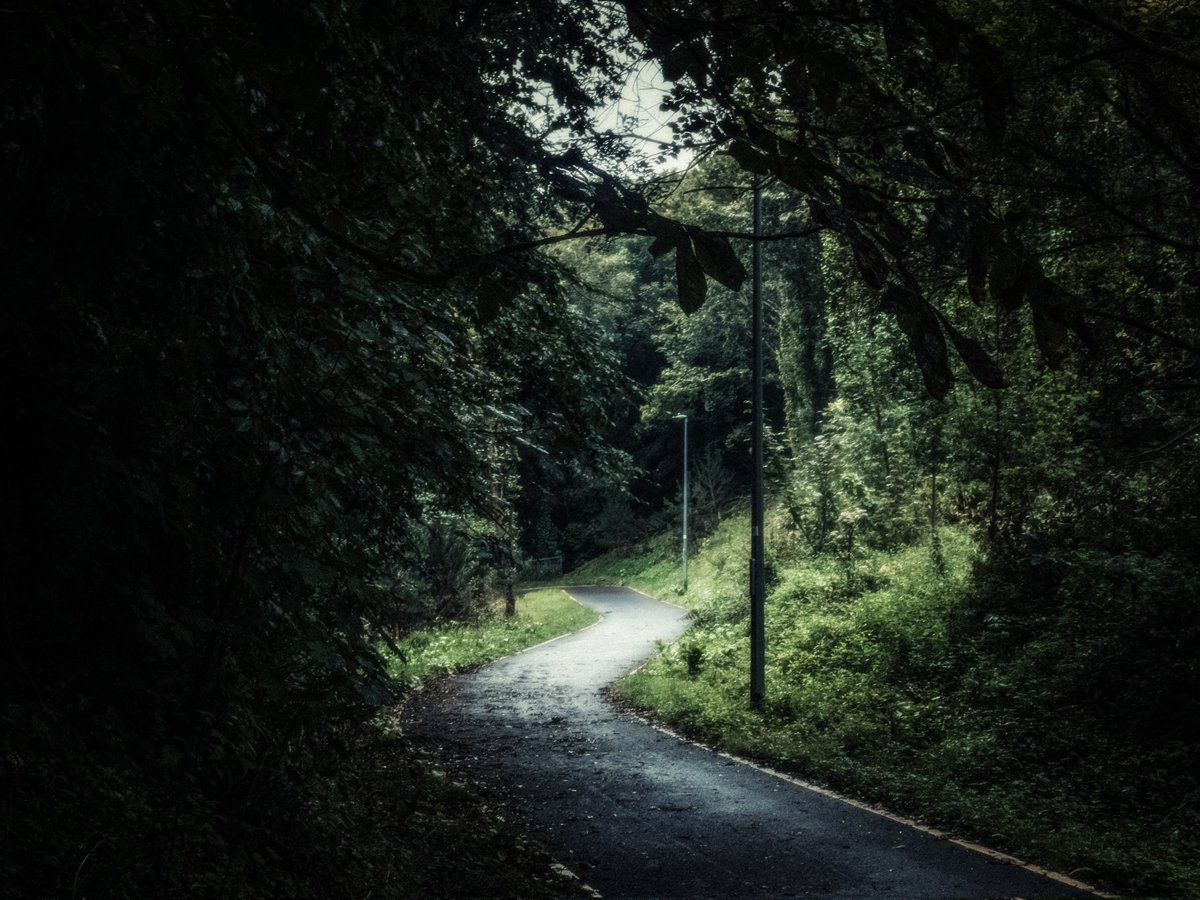 artofseanmurphy's tweet photo. Down A Brooding Path https://t.co/HqbuXcK6pI