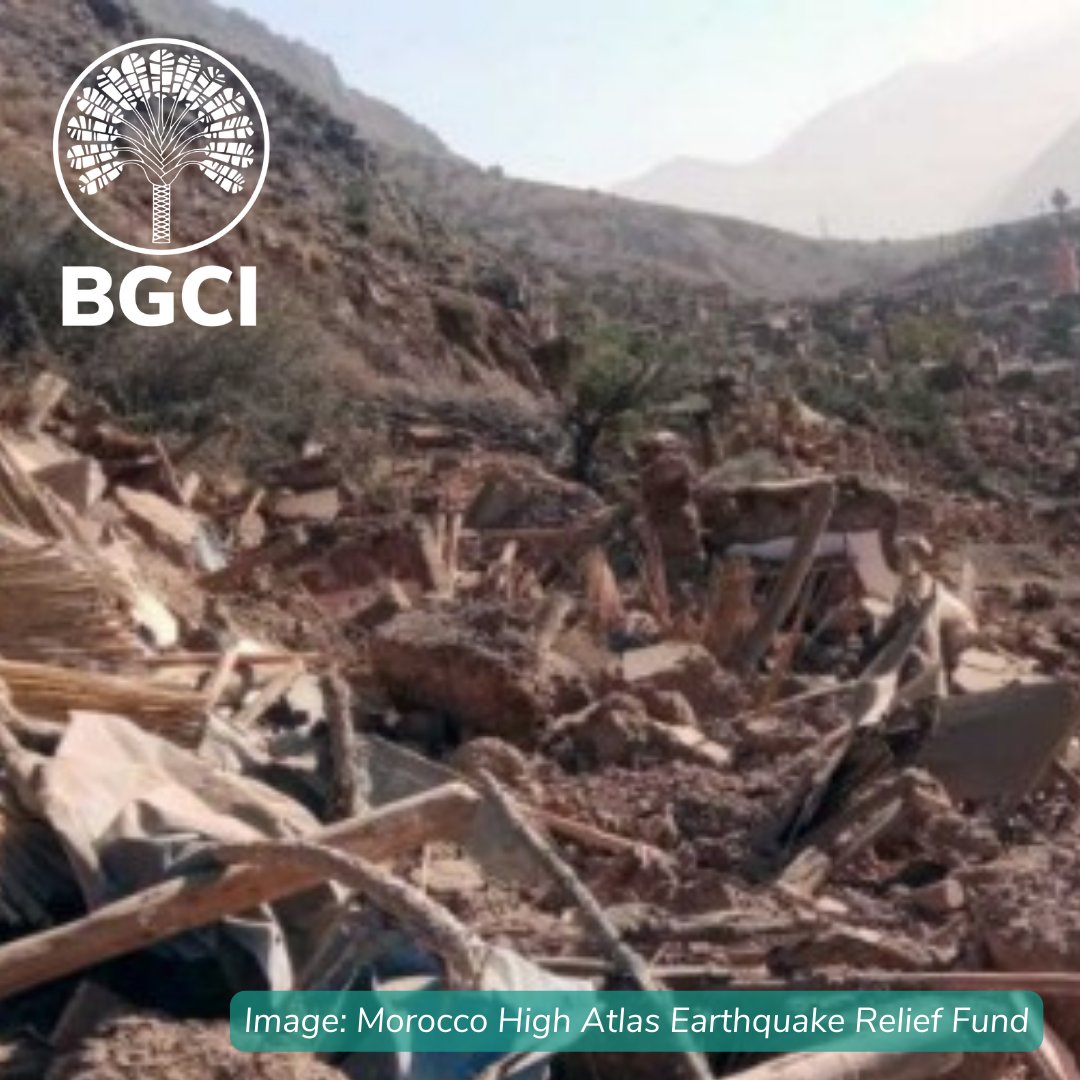 At BGCI, we are devastated by the news of the recent earthquake in Morocco. 
If you can, we urge you to support relief efforts for these High Atlas communities through Global Diversity Foundation and its local partners. ow.ly/uujh50PKsbU.