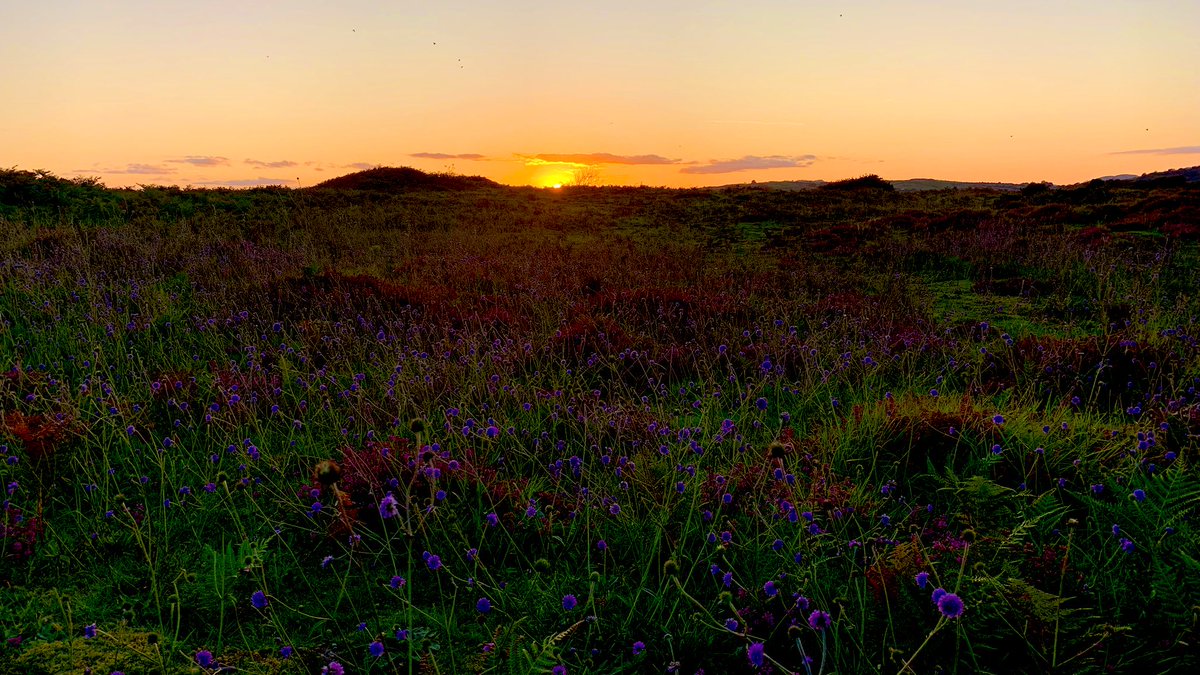 Ticketybooo's tweet photo. Keel Point, Murlough Nature Reserve @NTMurlough @Mournelive @visitmourne @WeatherCee @WeatherAisling @angie_weather @barrabest @deric_tv @bbcniweather @Carlingmourne #murlough #dundrum #codown #sunset #mourne #mountains #nationaltrust https://t.co/gsW8NUgs3J