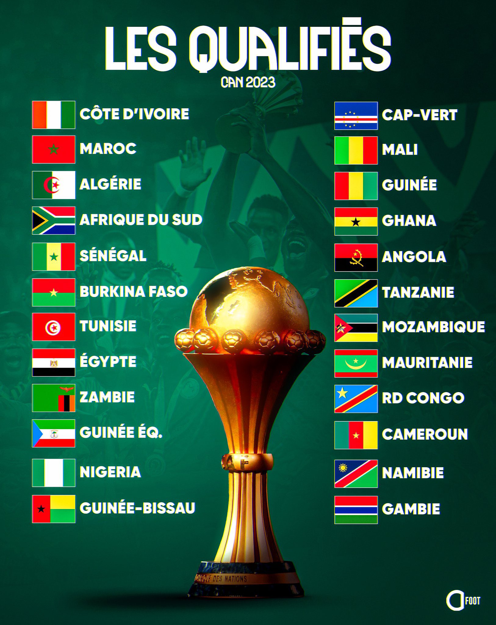 Devine Le Drapeau En 5 Secondes, Can 2024, Coupe D'afrique 2024