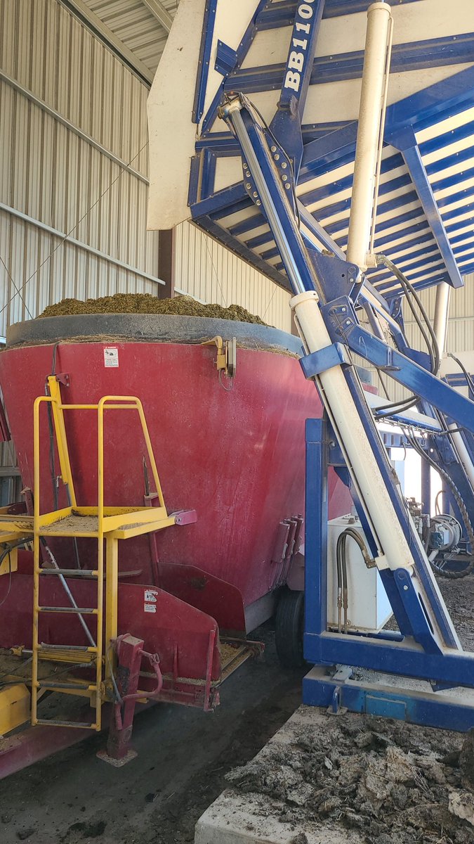 Jacob Wilgenburg tweet media